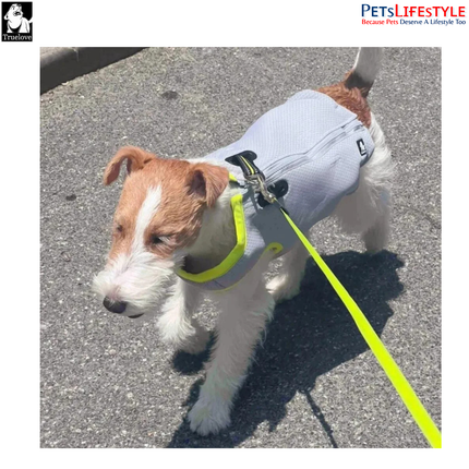 Truelove Cooling Vest for Dogs – Gray / Yellow – Evaporative Cooling Harness