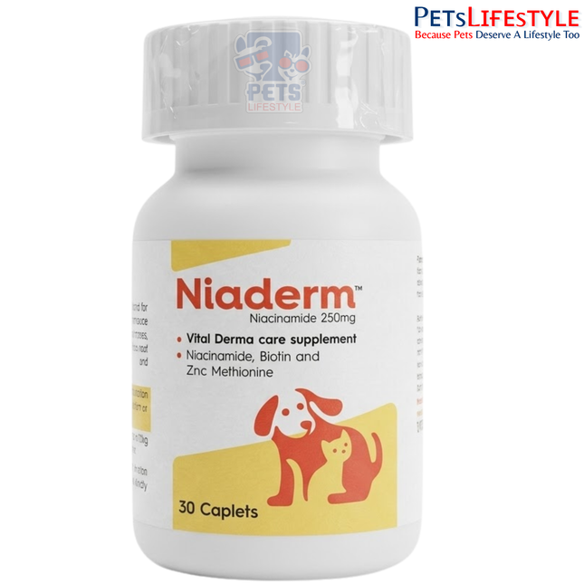 VVAAN NIADERM 250mg NIACINAMIDE TABLETS FOR DOGS & CATS