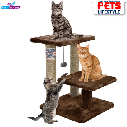 Canine Desk Cozy Cat Tree with Scratching Posts, Platforms and Dangling Toy
