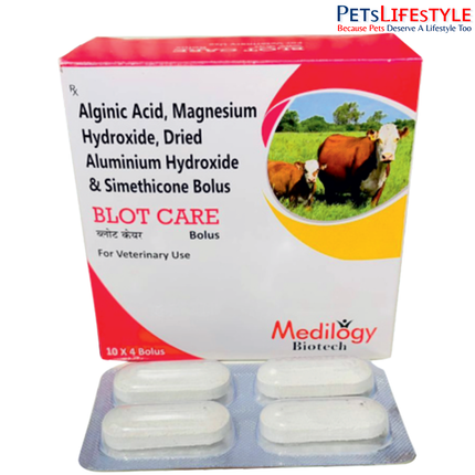 BLOT-CARE Vet Bolus – Alginic Acid, Magnesium Hydroxide, Dried Aluminium Hydroxide & Simethicone Bolus | Gastrointestinal Support for Livestock