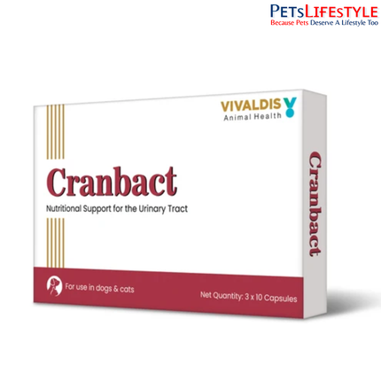 Vivaldis Cranbact Capsules for Dogs & Cats – Cranberry Urinary Tract Support (Pack of 30)
