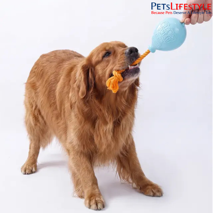 FOFOS Birthday Balloon W Giggle Sound Dog Toy – Rubber Balloon Toy with Cotton Rope for Dogs