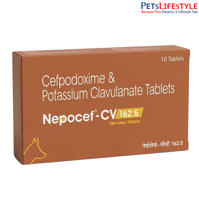 Nepocef-CV 162.5 mg Tablets for Dogs – Advanced Antibiotic Support for Skin & Bacterial Infections 10 Tablets