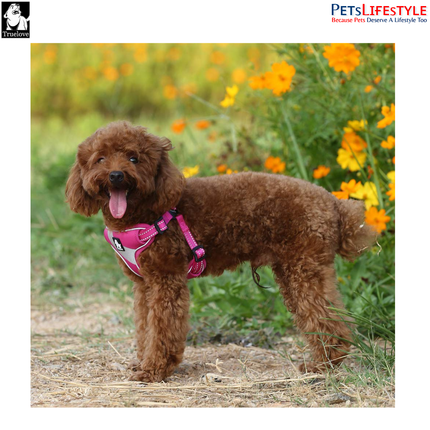 Truelove Lightweight Oxford Dog Harness – 3M Reflective Step-In Chest Harness