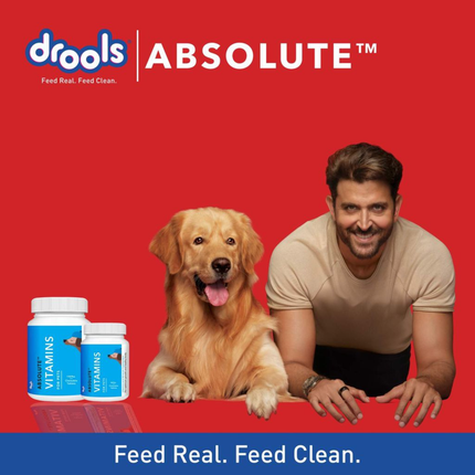 Drools Absolute Vitamin Tablet Dog Supplement for Dogs