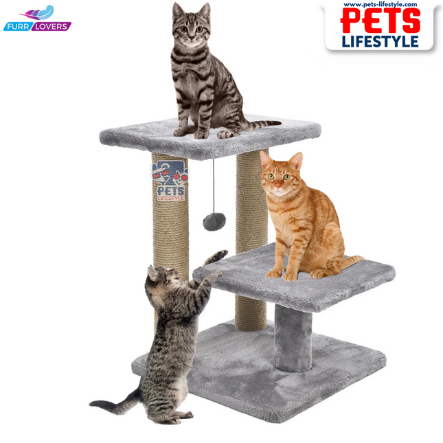 Canine Desk Cozy Cat Tree with Scratching Posts, Platforms and Dangling Toy