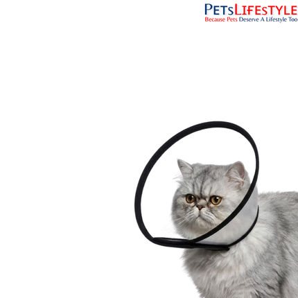 Elizabethan Collar for Dogs, Cats & Rabbits – Protective Recovery Cone (E-Collar)