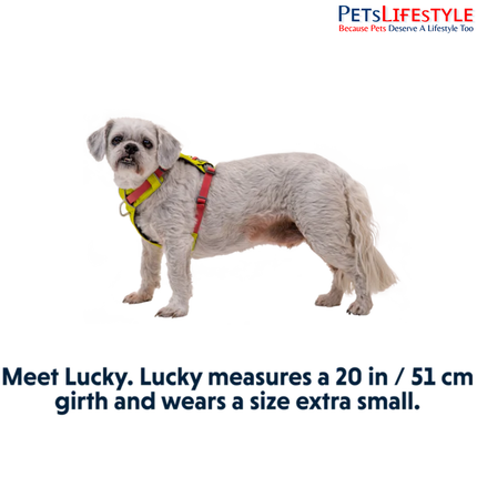 Ruffwear Hi & Light™ Dog Harness | Lightweight Minimalist Adventure Harness for Dogs