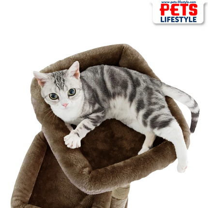 Canine Desk Kitten Cat Tree – Condo with Scratching Posts, Detachable Beds, Hanging Ball & Removable Cover