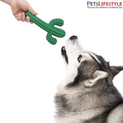 FOFOS Dog Chew Toy Cactus – Textured Rubber Chew Toy for Dogs | Assorted Colours