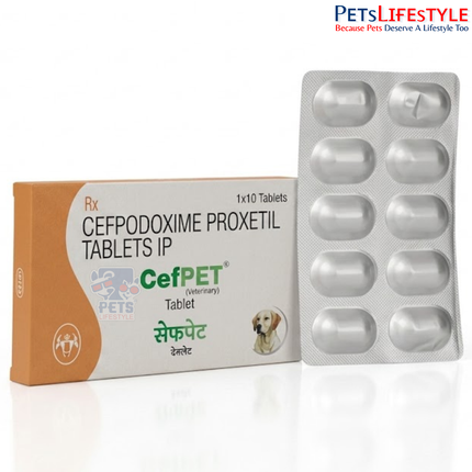 Cefpet Tablet 100mg for Dogs & Cats — Cefpodoxime Antibiotic by Intas