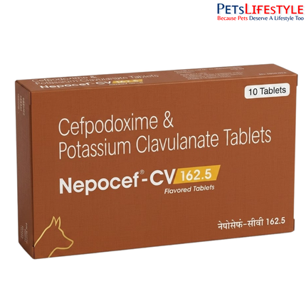 Nepocef-CV 162.5 mg Tablets for Dogs – Advanced Antibiotic Support for Skin & Bacterial Infections 10 Tablets