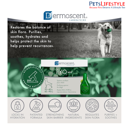 Savavet Dermoscent Pyospot Purifying Spot On for Dogs Between 20 to 40kg (2.4ml x 4 Pipette)