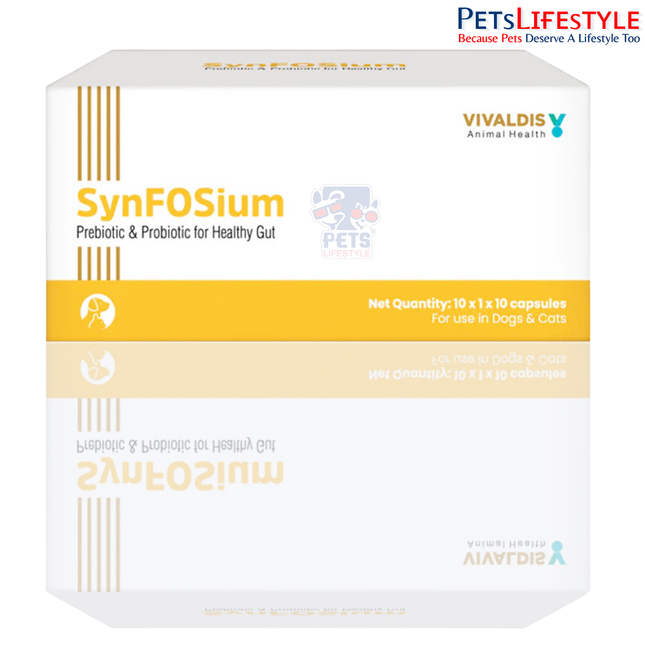 Vivaldis SynFOSium Pre & Probiotic Capsules for Dogs & Cats – Gut Health & Digestive Support (10 Capsules)