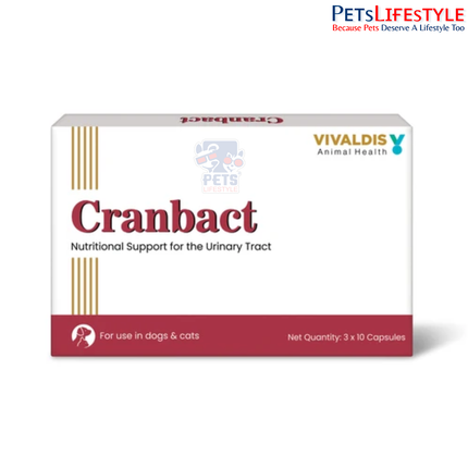 Vivaldis Cranbact Capsules for Dogs & Cats – Cranberry Urinary Tract Support (Pack of 30)