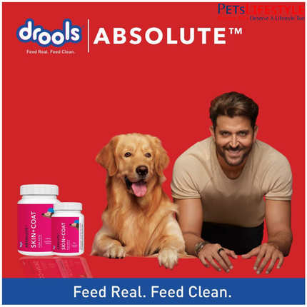 Drools Absolute Skin & Coat Supplement Tablets for Dogs