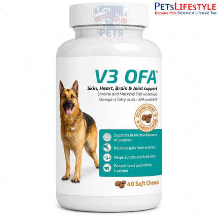 Vvaan V3 OFA Omega-3 Soft Chews for Dogs – EPA & DHA Fish Oil Supplement 40's