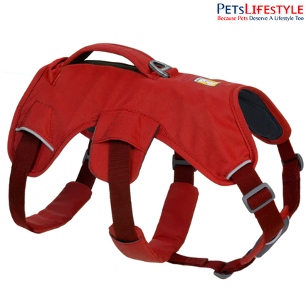 Ruffwear Web Master Dog Harness | Supportive Multi-Use Harness for Assistance, Hiking & Working Dogs