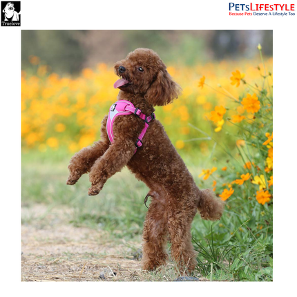 Truelove Lightweight Oxford Dog Harness – 3M Reflective Step-In Chest Harness