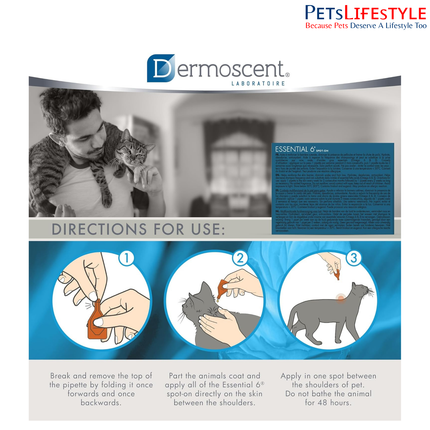 Savavet Dermoscent Essential 6 Spot-On for Cats Skin & Coat Care