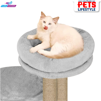 Canine Desk Cozy Cat Tree with Scratching Posts, Platforms and Dangling Toy