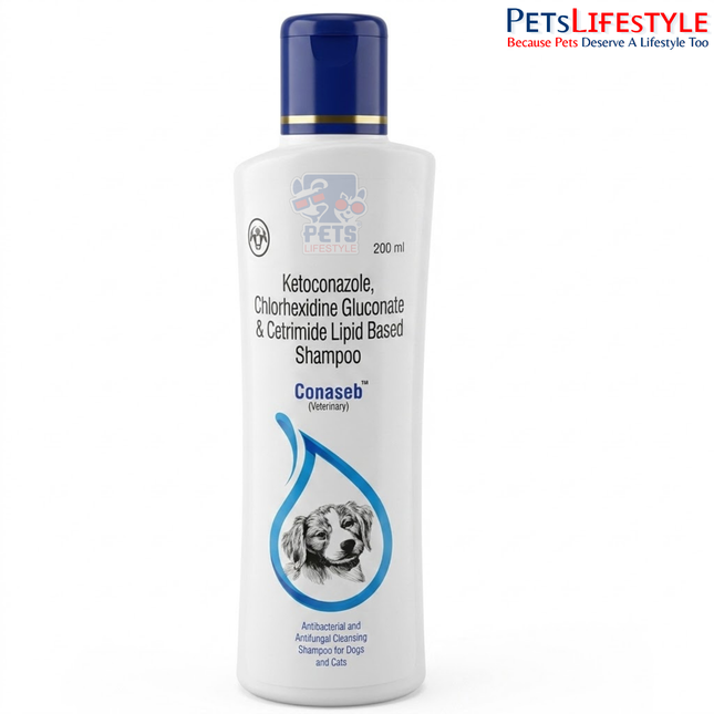 Intas Conaseb Antibacterial Antifungal Shampoo