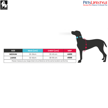 Truelove All-In-One Environmentally Friendly (Geranium Pine) Harness Set for Active Pets