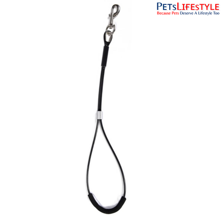 Aeolus Pet Steel Rope Wire Gauge 5 mm – Heavy-Duty Pet Tie-Out Cable