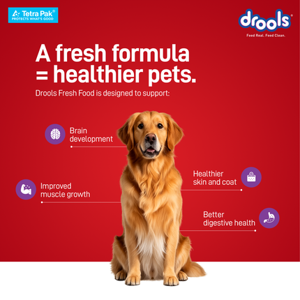 Drools Tetra Pack Real Chicken Biryani Wet Dog Food