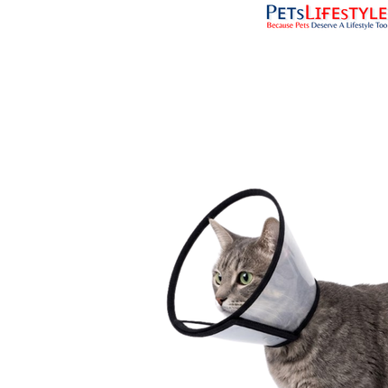 Elizabethan Collar for Dogs, Cats & Rabbits – Protective Recovery Cone (E-Collar)