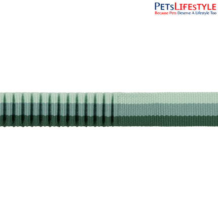 Ruffwear Roamer River Rock Green Dog Leash | Adjustable Hands-Free Stretch Running Leash for Dogs