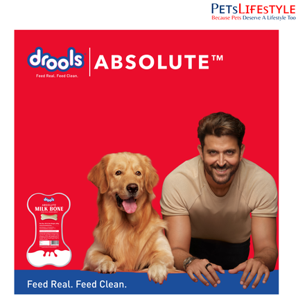 Drools Absolute Milk Bone Jar Dog Treats (300g, 20 pcs)