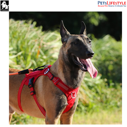 Truelove Escape Proof Dog Harness – Pool Blue – Double H-Design Safety Harness for Strong Dogs