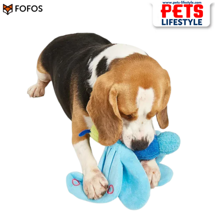 FOFOS Jumbo Butterfly (Blue & Pink)D og Toy Soft Plush Jumbo Dog Toy for Dogs