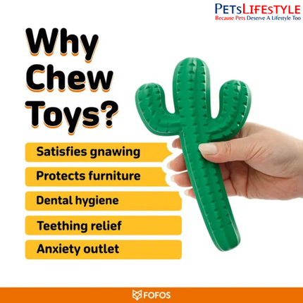 FOFOS Dog Chew Toy Cactus – Textured Rubber Chew Toy for Dogs | Assorted Colours