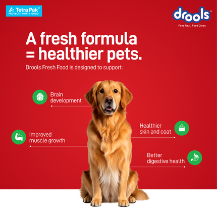 Drools Tetra Pack Real Chicken Veggies Wet Dog Food