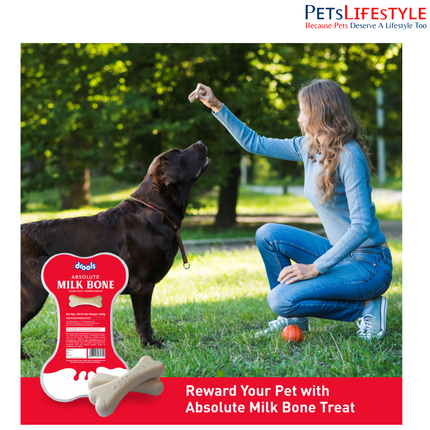 Drools Absolute Milk Bone Jar Dog Treats (600g, 40 pcs)