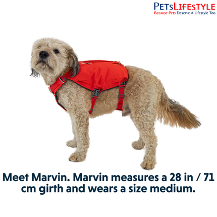 Ruffwear Switchbak™ Dog Harness Red Sumac | Padded Harness with Zippered Storage Pockets
