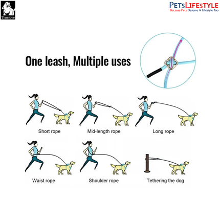 Truelove All-In-One Environmentally Friendly (Geranium Pine) Harness Set for Active Pets