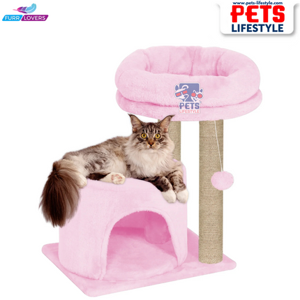Canine Desk Cozy Cat Tree with Scratching Posts, Platforms and Dangling Toy