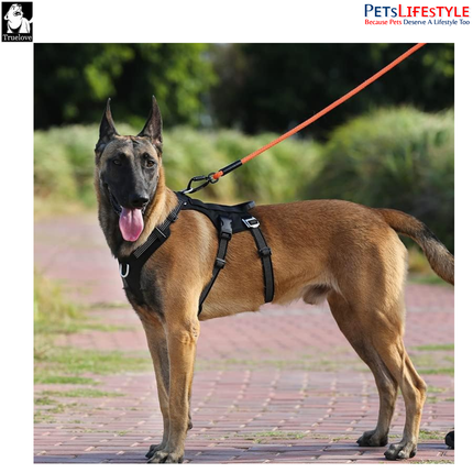 Truelove Escape Proof Dog Harness – Double H-Design Safety Harness for Strong Dogs