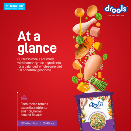 Drools Tetra Pack Real Chicken Biryani Wet Dog Food