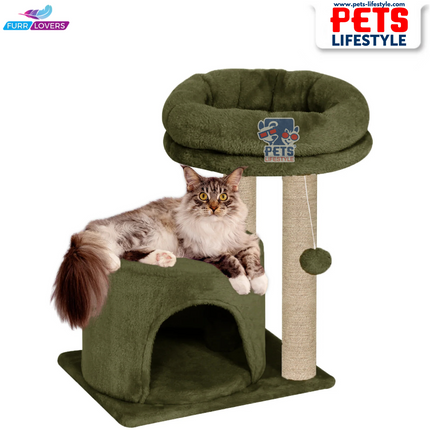 Canine Desk Cozy Cat Tree with Scratching Posts, Platforms and Dangling Toy