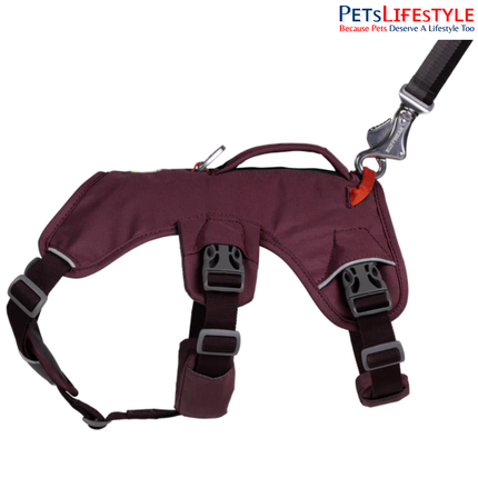 Ruffwear Web Master Dog Harness Purple Rain | Supportive Multi-Use Harness for Assistance, Hiking & Working Dogs