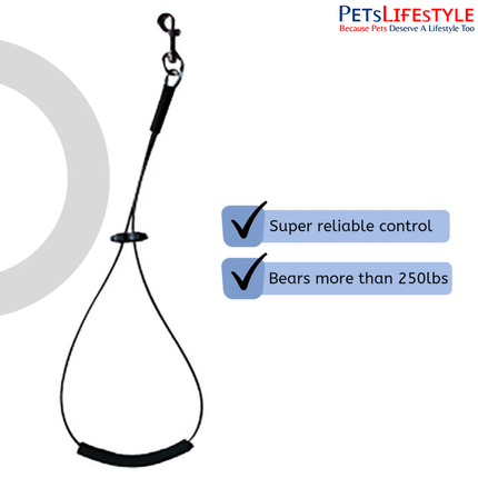 Aeolus Pet Steel Rope Wire Gauge 5 mm – Heavy-Duty Pet Tie-Out Cable