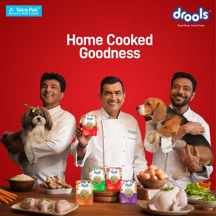 Drools Tetra Pack Real Chicken Pumpkin Wet Dog Food