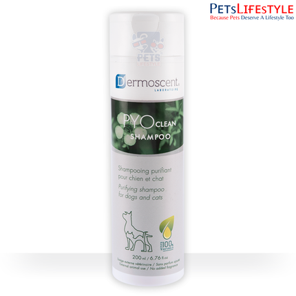 Dermoscent PYOclean Shampoo for Dogs – Purifying Anti-Pyoderma Skin Care Shampoo (200 ml)