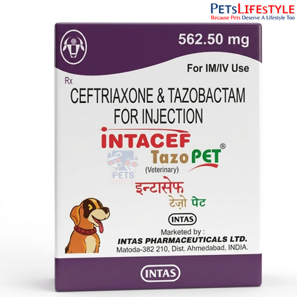 Intacef Tazo PET