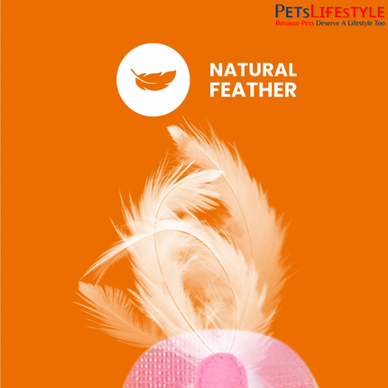FOFOS Cat Teaser Toy 2-Pack – Interactive Cat Wand Toys with Catnip & Feathers