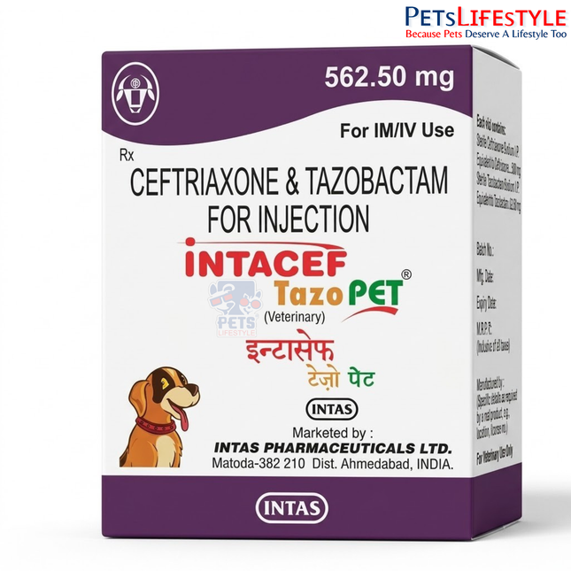 Intacef Tazo PET